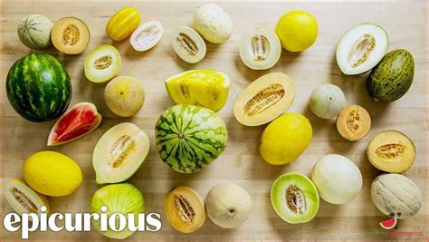 melons tue|Melons Types